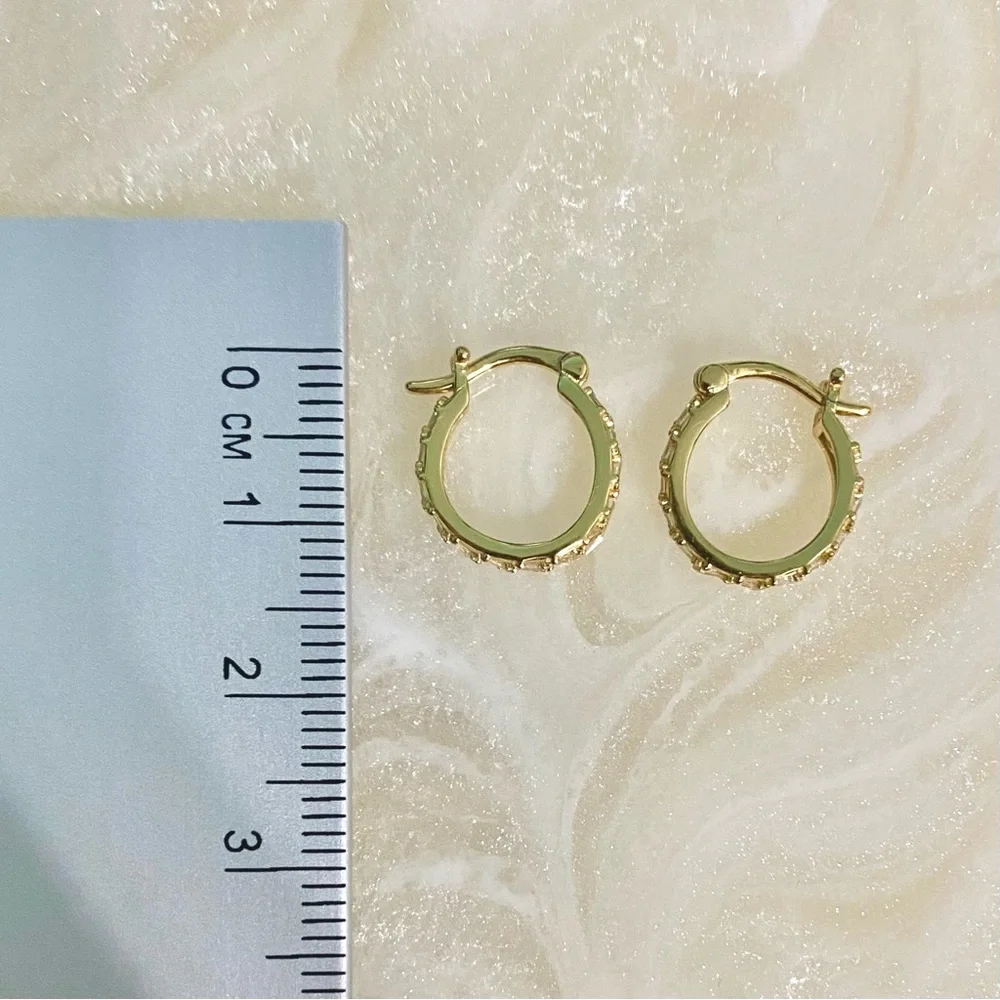 Elegant Gold S925 Hoop Earrings